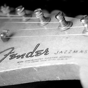 Meet your Posher, Steve